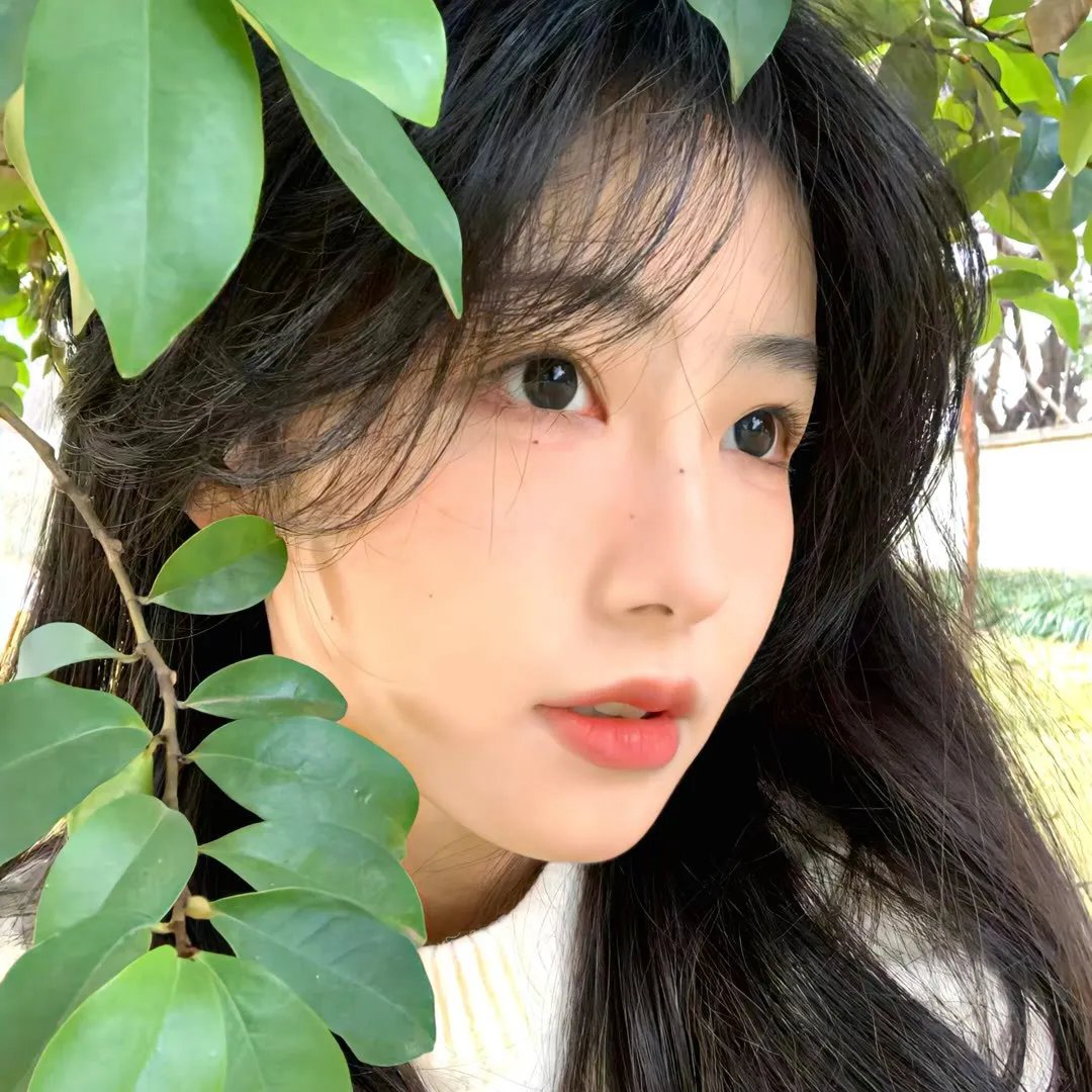 恭喜你发财